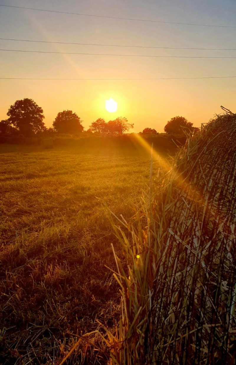 Ferme des Jarriges à Badecon